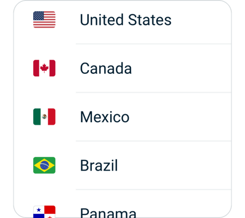 Niuniu connect step 2, choose VPN server location